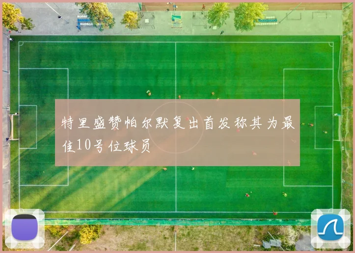 特里盛赞帕尔默复出首发称其为最佳10号位球员