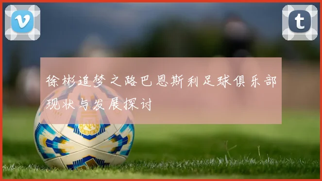 徐彬追梦之路巴恩斯利足球俱乐部现状与发展探讨