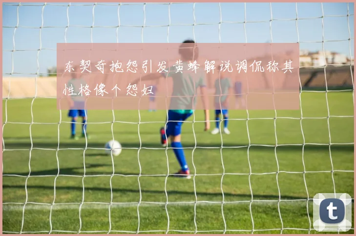 东契奇抱怨引发黄蜂解说调侃称其性格像个怨妇