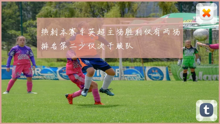 热刺本赛季英超主场胜利仅有两场排名第二少仅次于狼队